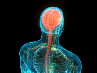 Mental Health & the CB2 Receptor